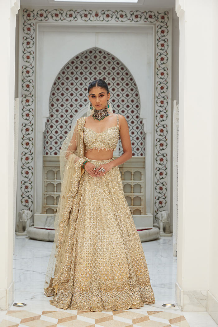 BEIGE OMBRE LEHENGA CHOLI WITH NET DUPATTA