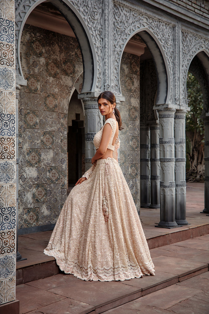Blush Tulle Lehenga Set