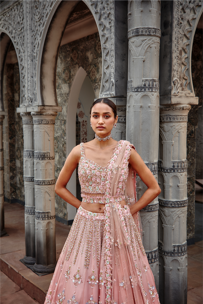 Rose Ombré Organza Lehenga Set