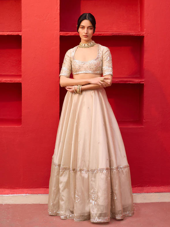 KLIANTHA GOLD TISSUE LEHENGA SET