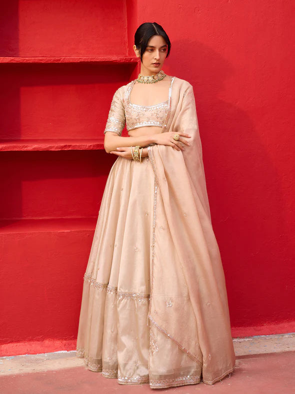 KLIANTHA GOLD TISSUE LEHENGA SET