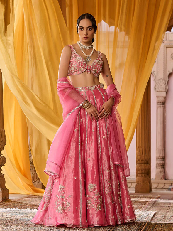 Elysia Pink Tissue Lehenga Set