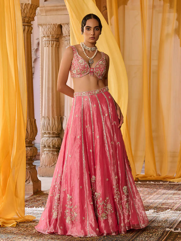 Elysia Pink Tissue Lehenga Set