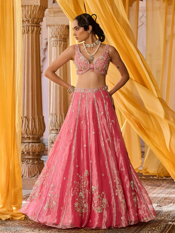 Elysia Pink Tissue Lehenga Set