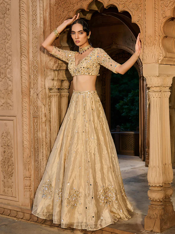 Gold Gaze Tissue Lehenga Set
