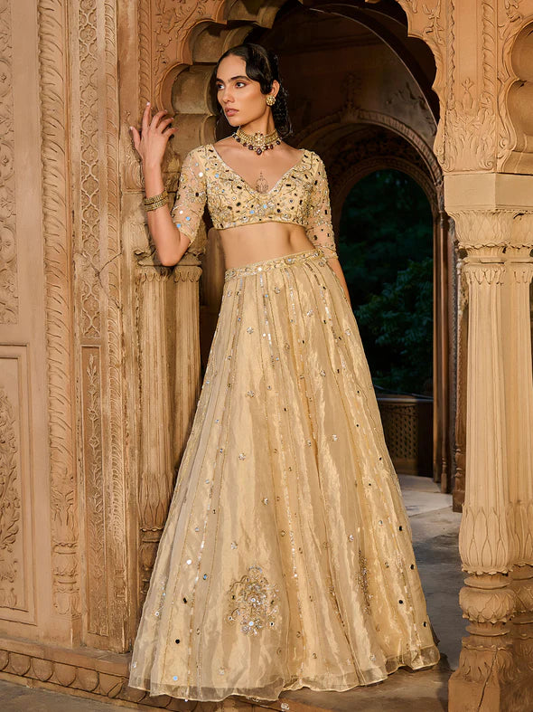Gold Gaze Tissue Lehenga Set