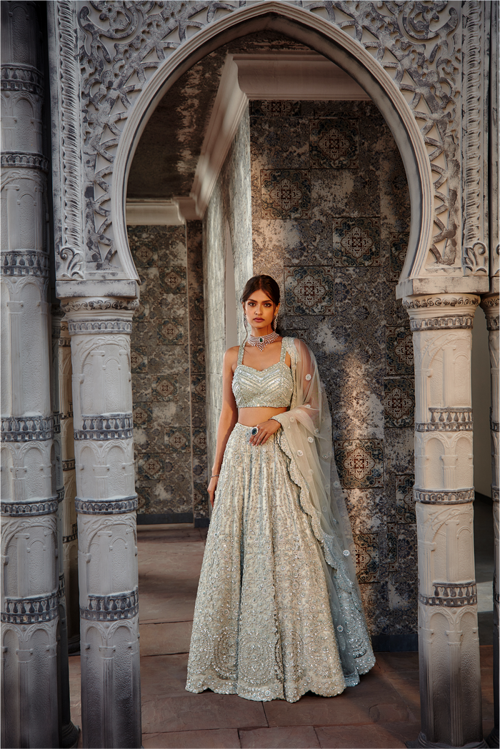 Sage Green Net Ari Lehenga Set