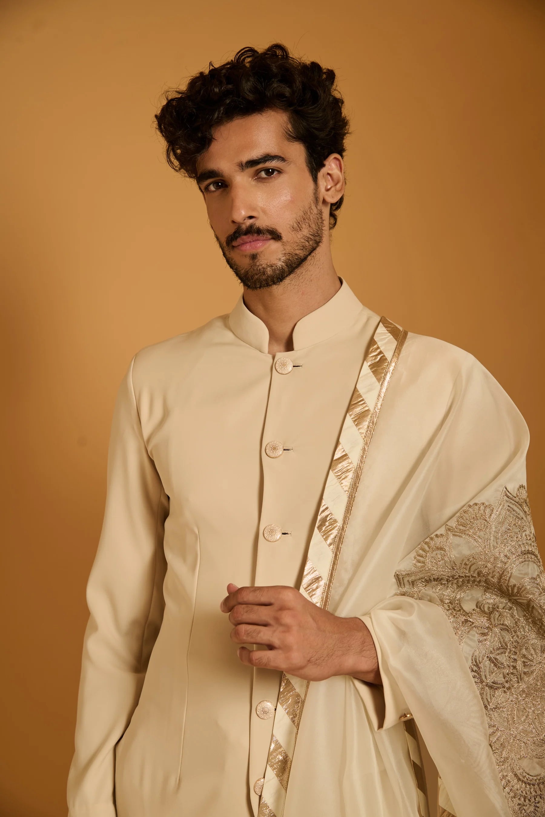 Trifecta ivory paneled dupatta