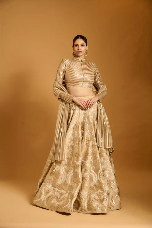 Trifecta beige applique lehenga